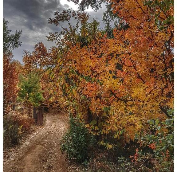 منتجع Finca La Viriñuela