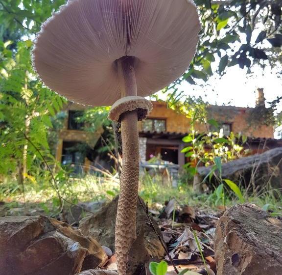 منتجع Finca La Viriñuela