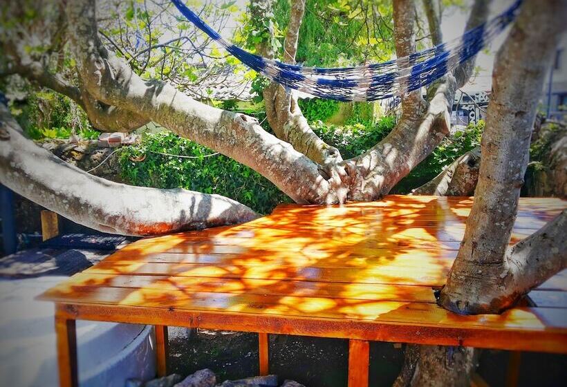 Surftolive House   Hostel