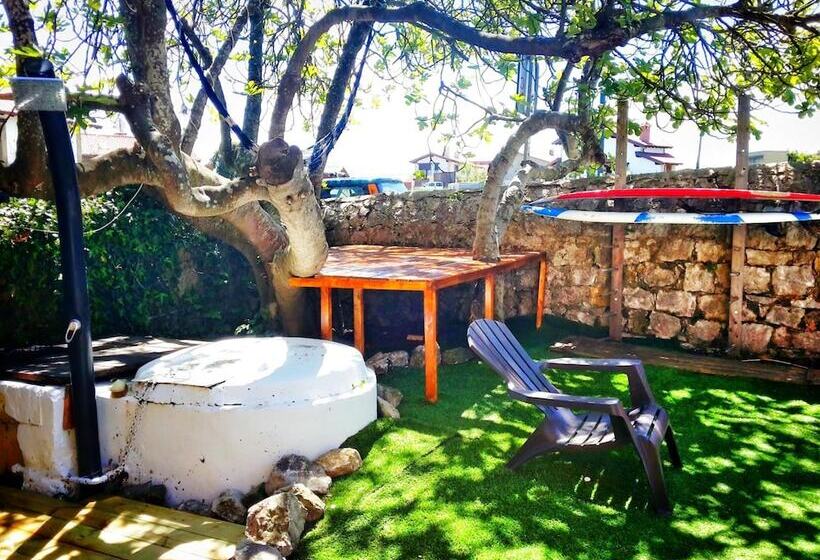 Surftolive House   Hostel