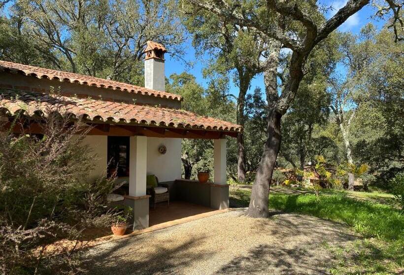 Valle Del Arroyo Casas Rurales  Bed & Breakfast