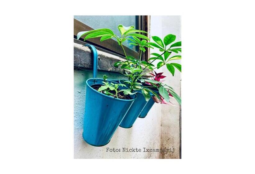 B&b Una Habitación Propia