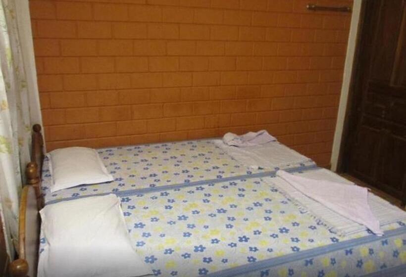 Bed and Breakfast Dazzle Dew