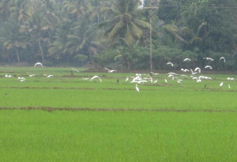 住宿加早餐 Gk`s Riverview Homestay