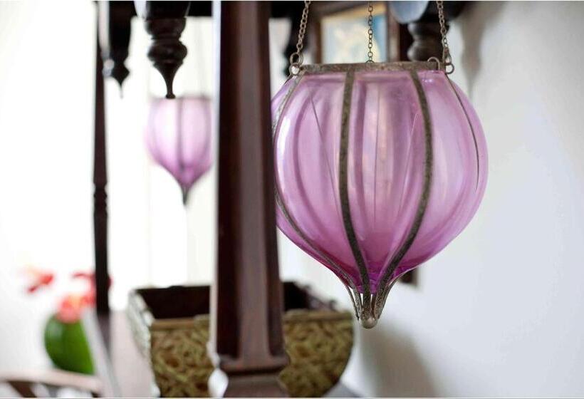 住宿加早餐  Highnest