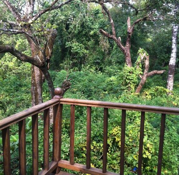 تختخواب و صبحانه Michele S Garden