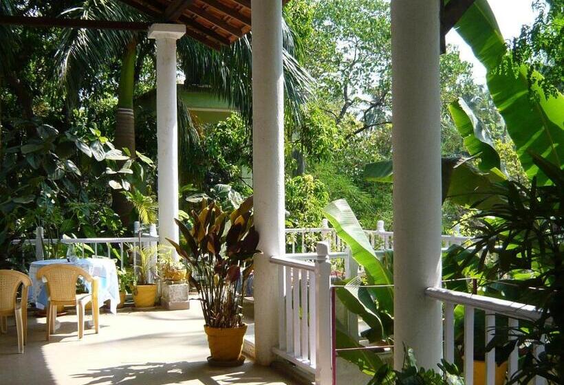 Bed and Breakfast Michele S Garden