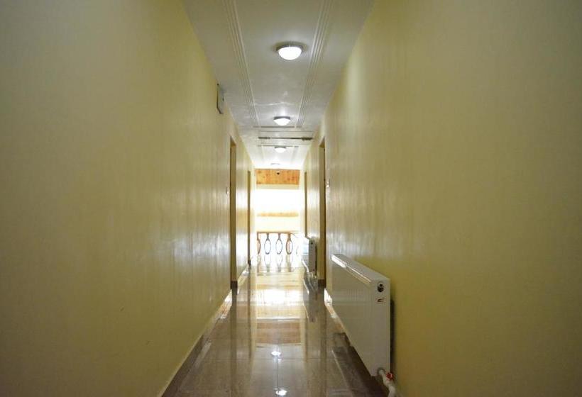 בית מלון כפרי Barzman