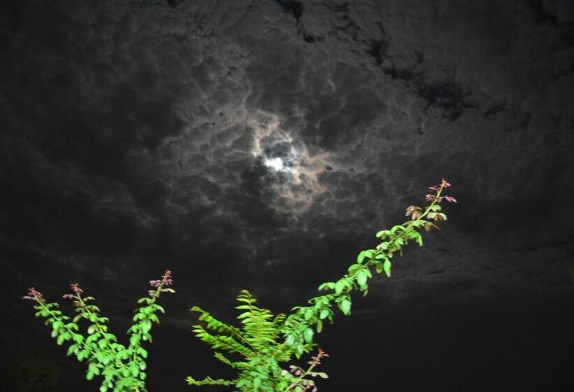 Отель Best Western Swing High Katra