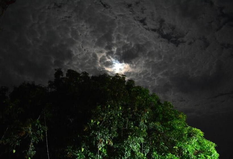 Отель Best Western Swing High Katra