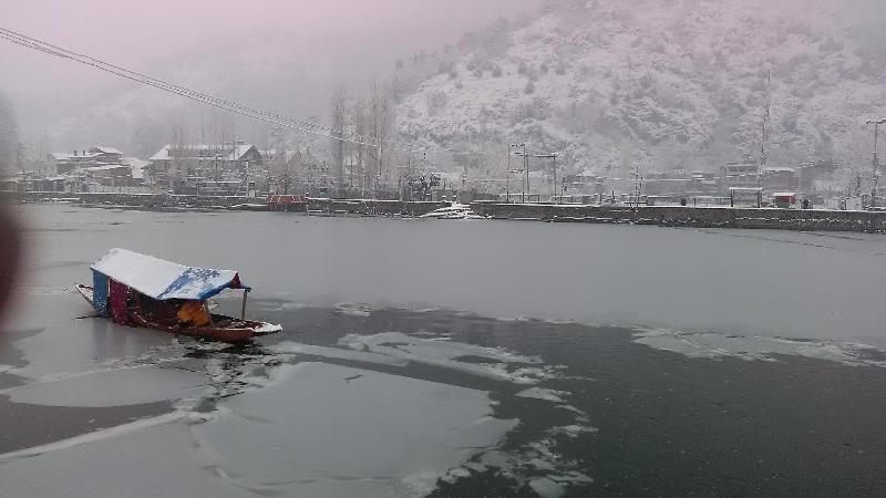 Hotel Island Homestay In Dal Lake