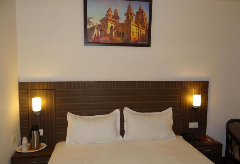 Отель Janhvi International