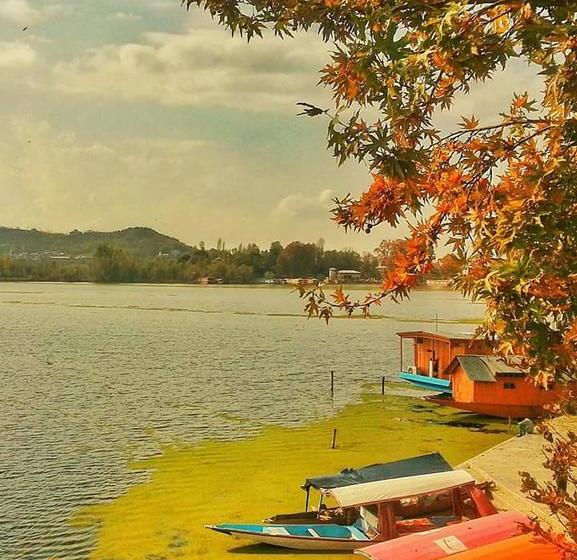 ホテル Kashmir Inn