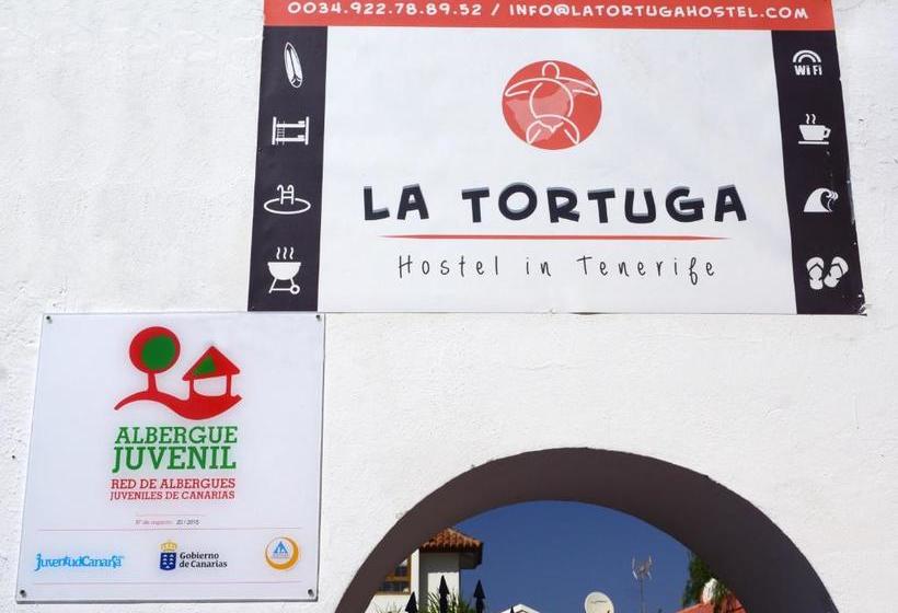 La Tortuga Hostel