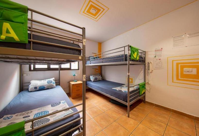 La Tortuga Hostel