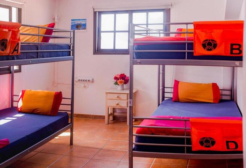 La Tortuga Hostel