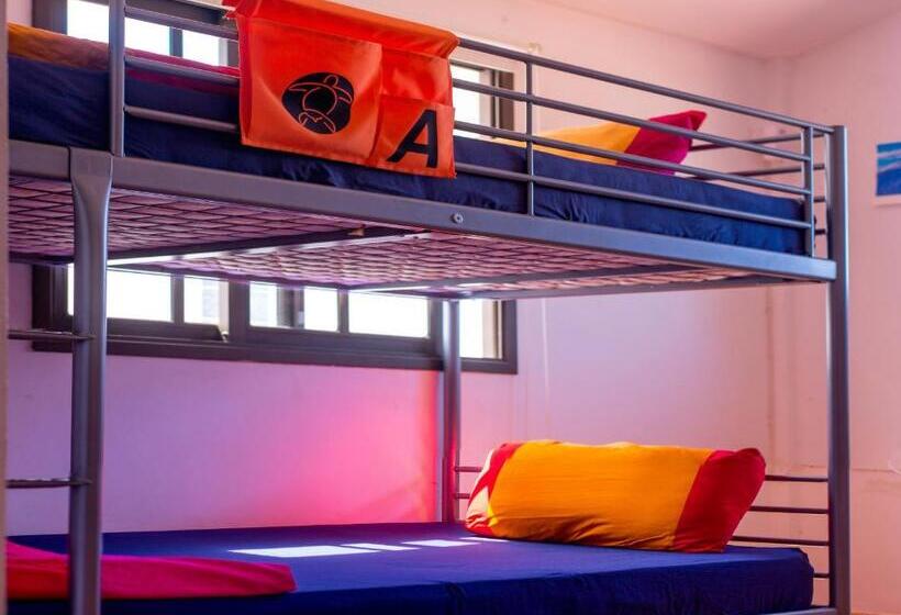La Tortuga Hostel