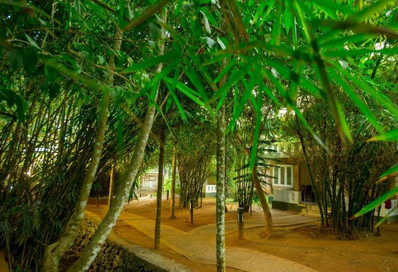 Nexstay Lakkidi Village Resort