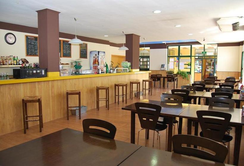 مُتل Hostal Bungalows Camping Cáceres