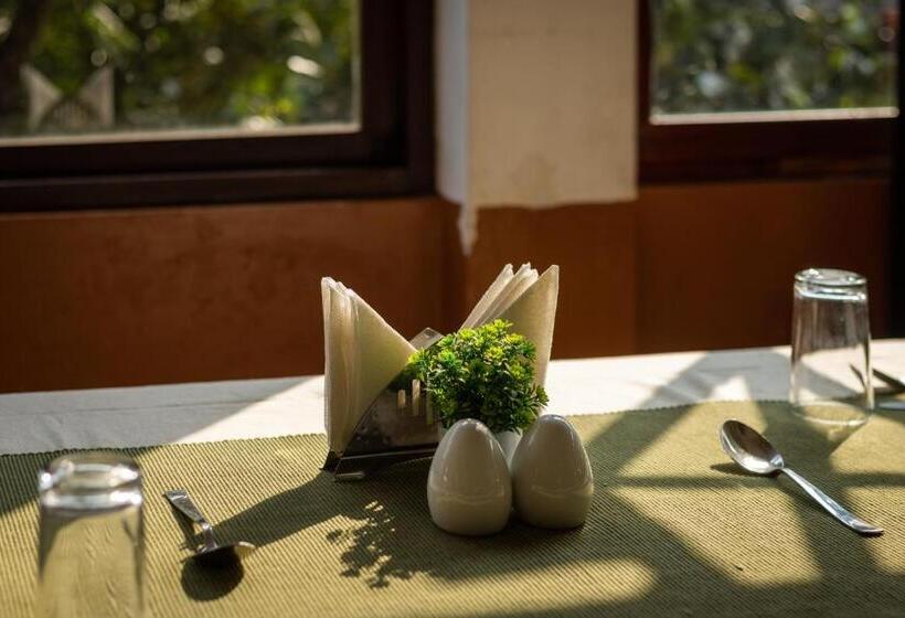 Nexstay Lakkidi Village Resort