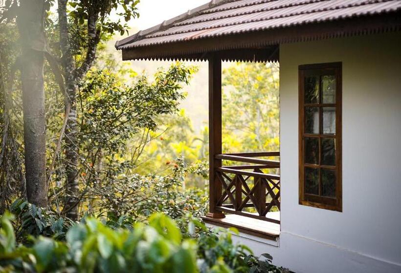 Курорт Pepper Trail