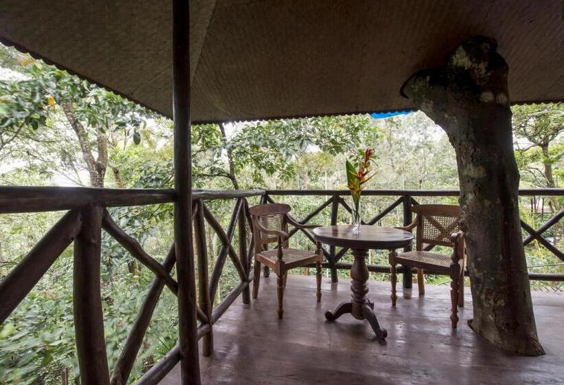 리조트 Pepper Trail