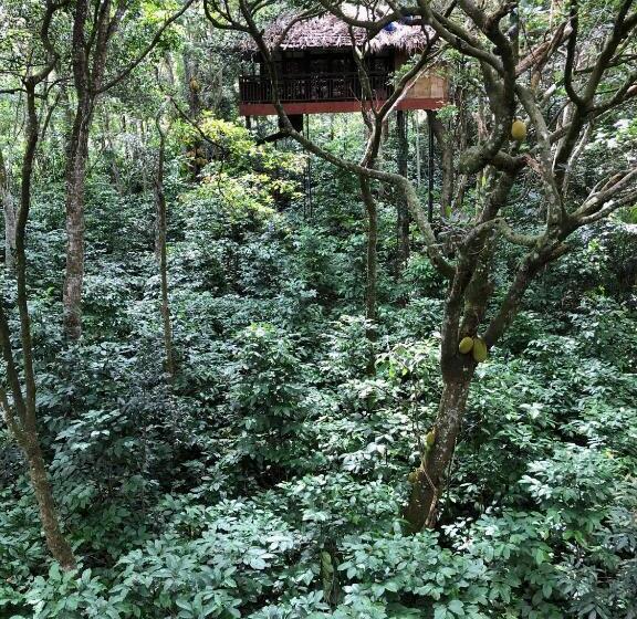 리조트 Pepper Trail