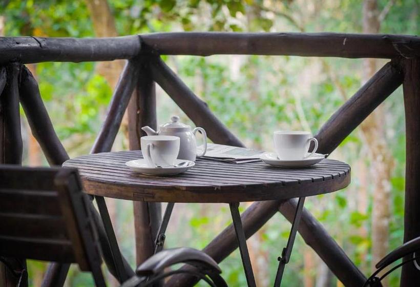 리조트 Pepper Trail