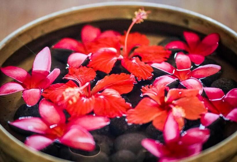 리조트 Pepper Trail