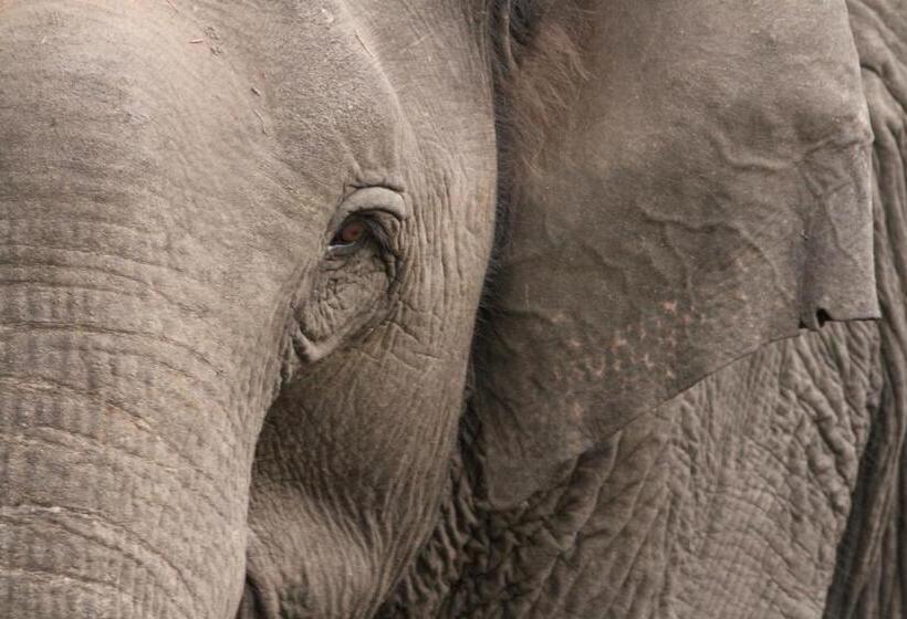 リゾートホテル Pepper Trail