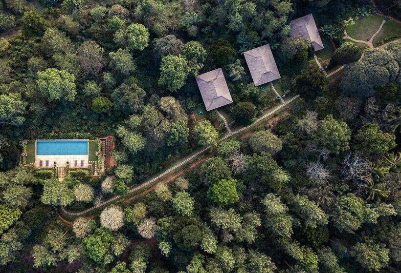 리조트 Pepper Trail