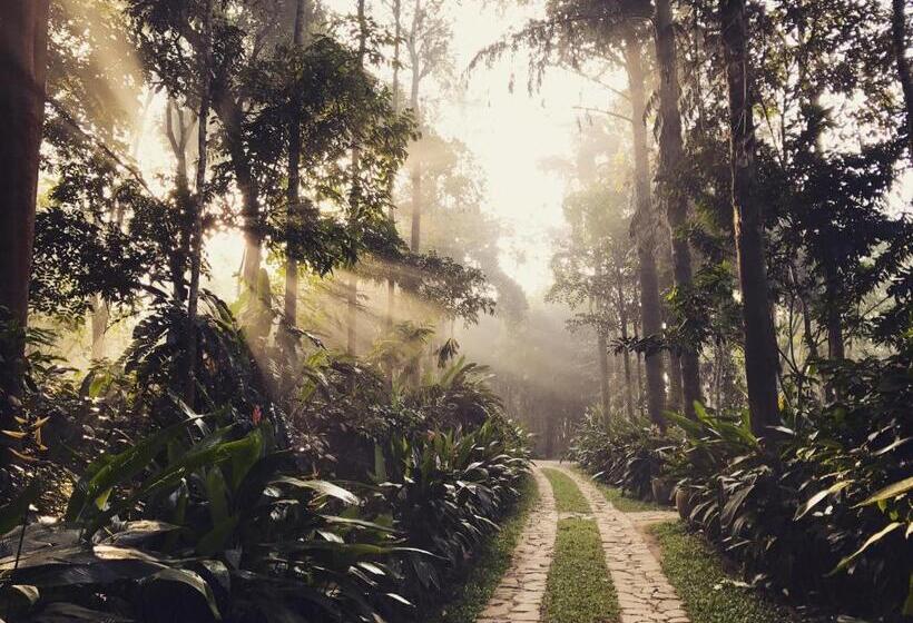 리조트 Pepper Trail