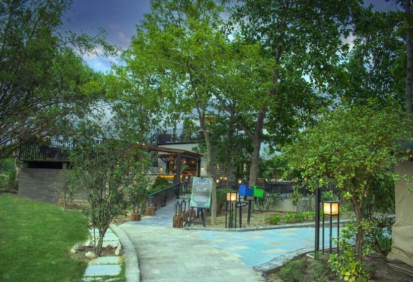 אתר נופש The Golden Tusk By Ivory Destinations