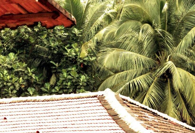 The Old Quarter Hostel