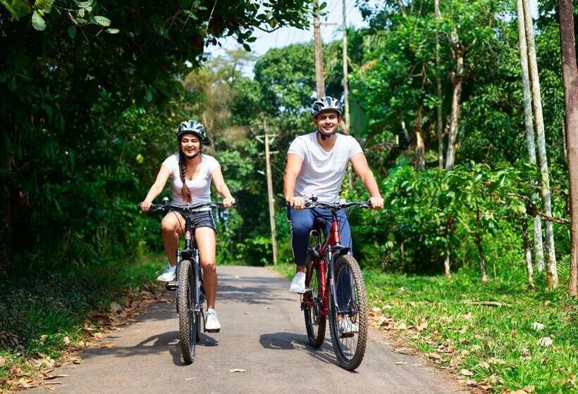 The Woods Resorts Wayanad