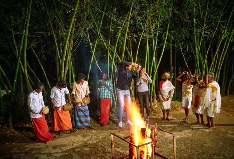 The Woods Resorts Wayanad