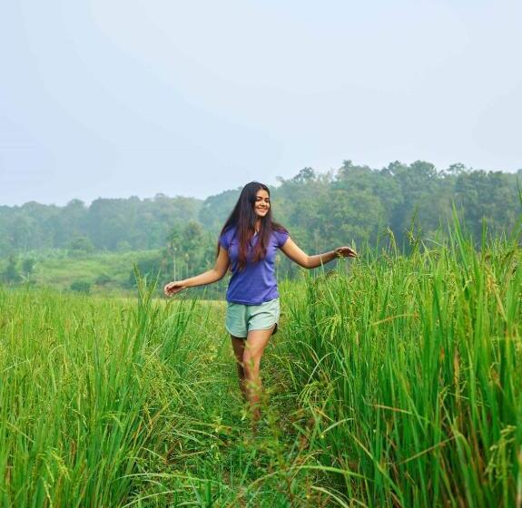 The Woods Resorts Wayanad