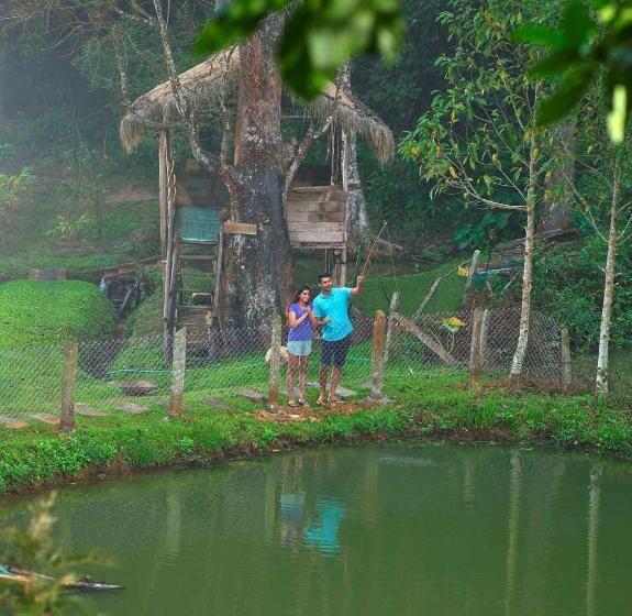 The Woods Resorts Wayanad