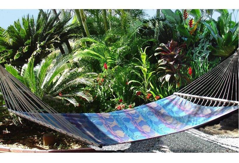 ベッドアンドブレックファースト Adventure In Paradise