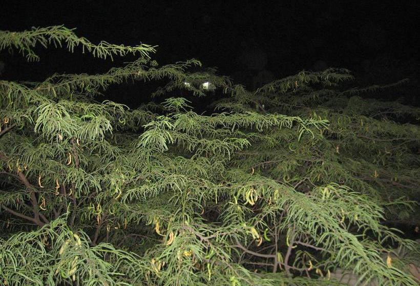 Cedar Court Bed And Breakfast