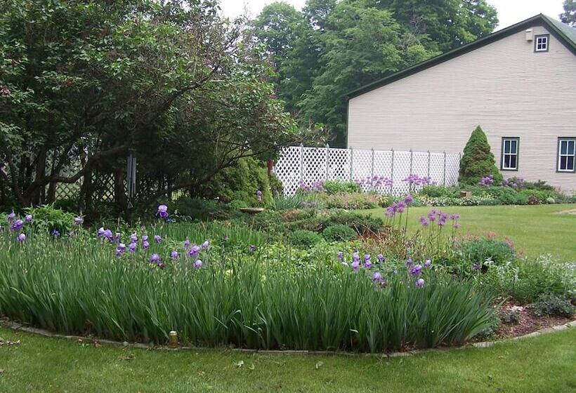 مبيت وإفطار Dream House Country Inn