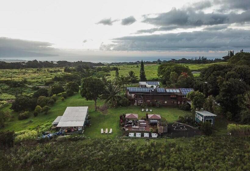 مبيت وإفطار God S Peace Of Maui