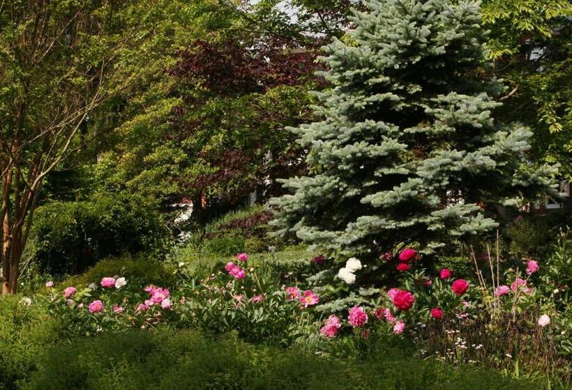 ベッドアンドブレックファースト South Court Inn