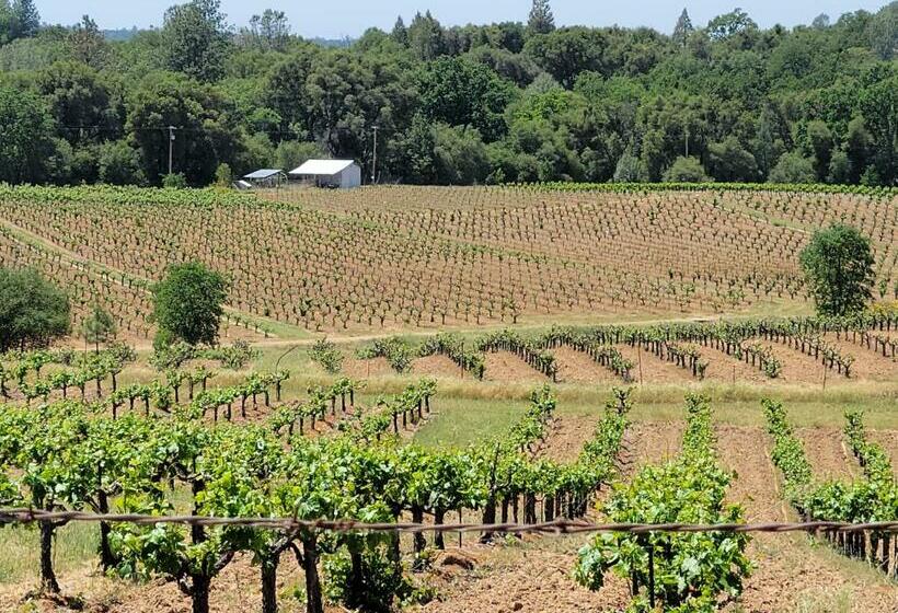 Bed and Breakfast The Inn At 161