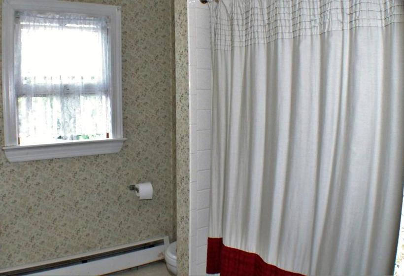 צימר The White Birch Inn