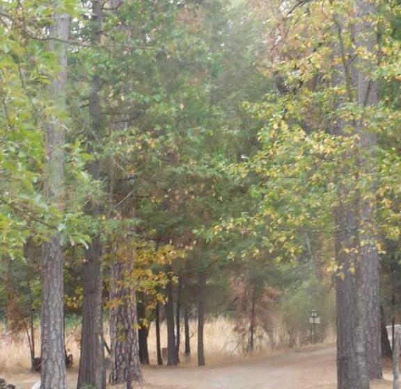 مبيت وإفطار Yosemite Paradise Inn