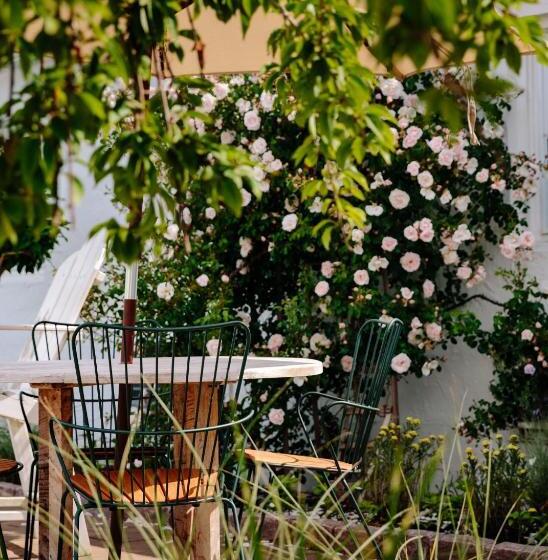 Daunts Albatross Motel