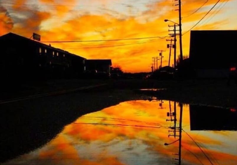 Daunts Albatross Motel