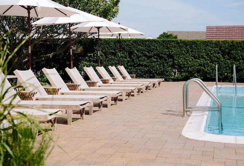 Daunts Albatross Motel