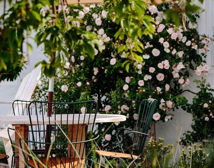 Daunts Albatross Motel